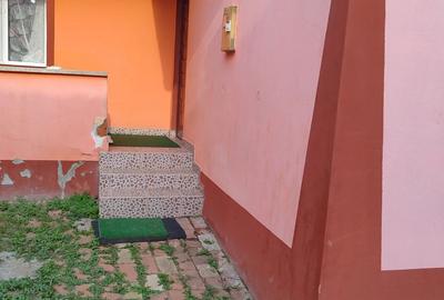 Casa de Vanzare Sanandrei - 3