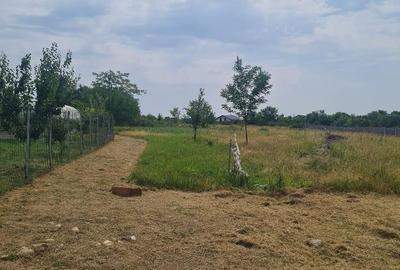 Teren de 1470 mp, în Moșoaia - 3