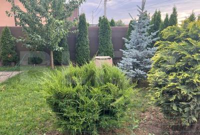 Casa Sangeorgiu de Mures - 500 mp teren, finisaje premium, zona linistita - 3
