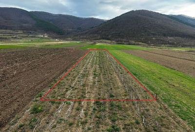 Teren de 900 mp, în Poplaca - 3