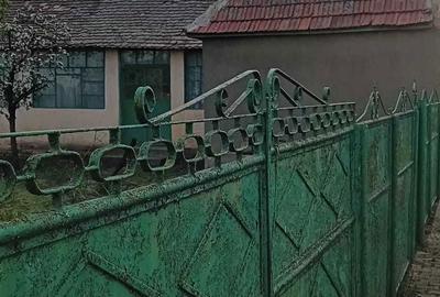 Casă cu 3 camere în Livezile - 2