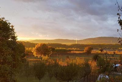 Teren în Iazu - 10