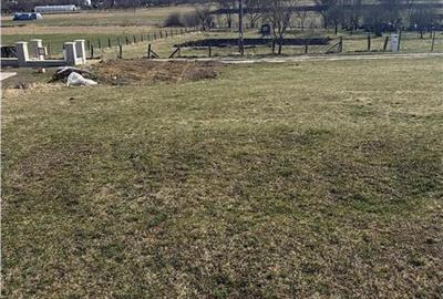 Teren intravilan de 2570 mp, în Săliștea Nouă - 6