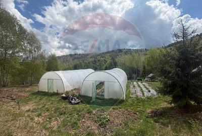 Casă cu 14 camere cu Teren 62330 Mp în Horea - 37