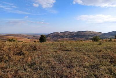 Teren de 21000 mp, în Jugureni - 3