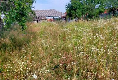 De vanzare teren cu casa. Calea Mare Nr.106 - 5