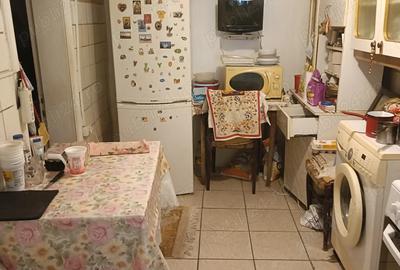 Vand casa zona Plantelor - 7