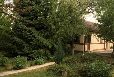 TEREN + CASA Silistea Snagovului toate utilitatile - 2