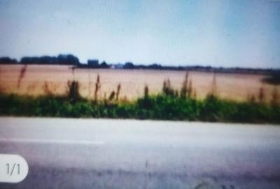 Teren de 1245 mp, în Clinceni - 2