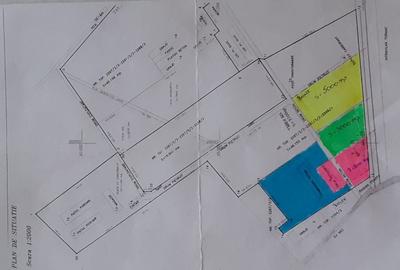 Teren Construcții extravilan de 8000 mp, în Tormac