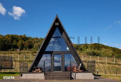 Casă cu 6 camere cu Teren 37000 Mp în Moldovenești - 2