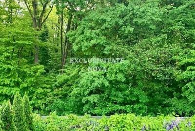 Vanzare Vila Baneasa - Willbrook - cu Deschidere la Padure ! Vanzare Vila Baneasa - Willbrook - cu Deschidere la Padure ! - 7