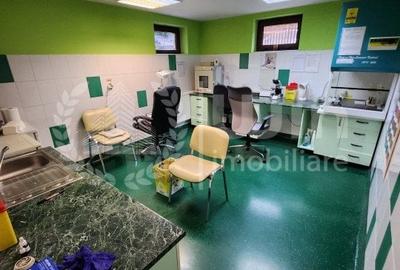 Vila individuala cu 10 camere ideal pt. clinica | Zorilor | Ciresilor! - 31