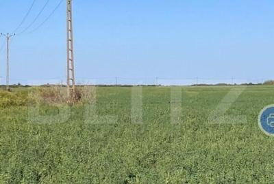 Teren de 250000 mp, în Central