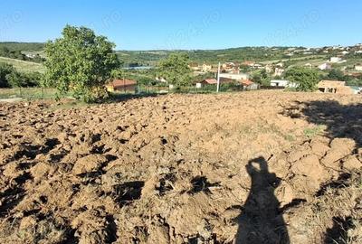 Teren de 1600 mp, în Săldăbagiu de Munte - 2