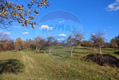 Teren zona superba Sisesti