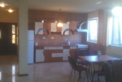 Vila P+1+M - zona Elvila - 6 camere - 2.500 euro/luna (Cod E1) - 11