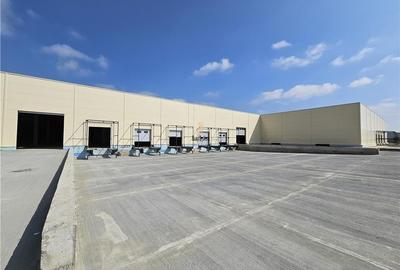 Spatiu Industrial - 6000 mp - Productie - Depozitare - Distributie - 7