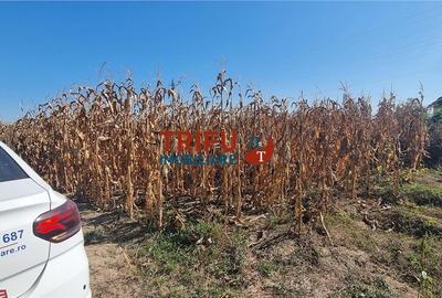 Teren intravilan 2464 mp de vanzare pe soseaua de centura - 1