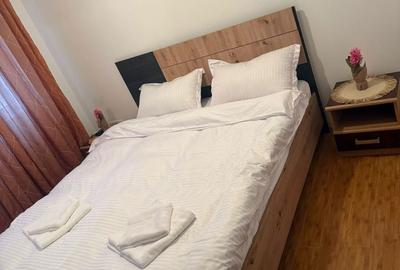 Apartament cu 2 camere semidecomandat în Roșu - 3