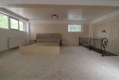 Spațiu comercial, de 60 mp, în Siderurgiștilor - 4