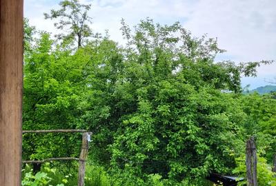 Vanzare casa ?i teren - 3