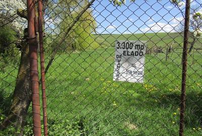 Teren de 3300 mp, în Boroșneu Mic - 2