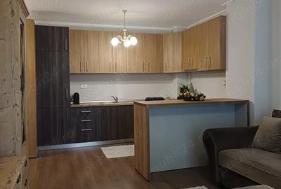 Apartament cu 2 camere decomandat, mobilat în Torontalului - 2