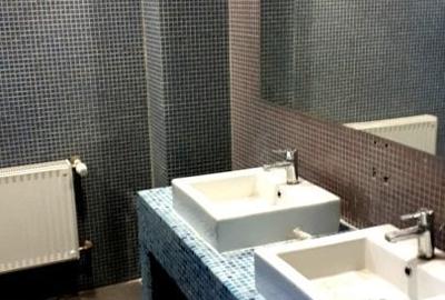 Birou, de 1,907 mp, în Armeneasca - 6