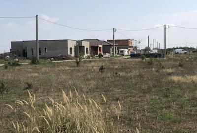 Teren Mosnita Noua - Albina - 2