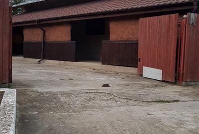 Casă cu 4 camere în Conțești - 6