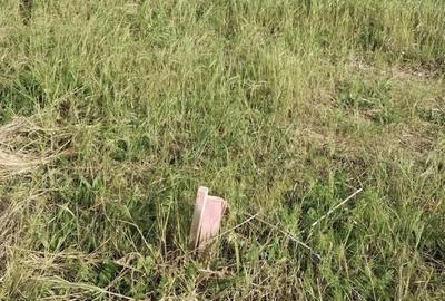 Teren vanzare KM5- Veterani langa parc - 3