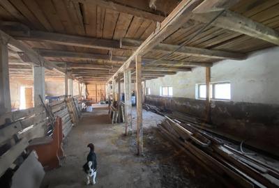 Teren intravilan cu grajduri si anexe – Aninoasa AG - 6