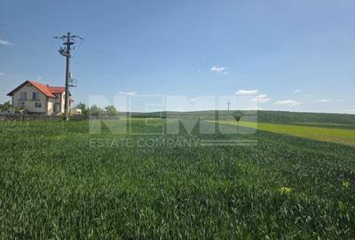 Teren agricol extravilan de 2600 mp, în Mitocu Dragomirnei - 1