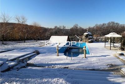 Casă cu Teren 2000 Mp în Europa - 17