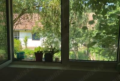 Casă cu 3 camere cu Teren 3000 Mp în Fârliug - 4