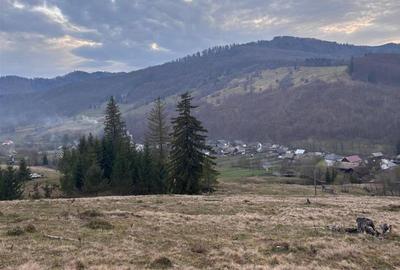 Teren intravilan de 1000 mp, în Văleni-Stânișoara - 2
