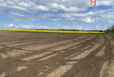 Teren Agricol | Opurtunitate investitie | Sananadrei - ID V713 - 1