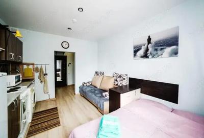 Garsoniera de inchiriat in zona 1 Mai - 3