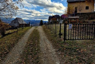 Casa de poveste in satul Pestera, Moeciu Brasov - 15