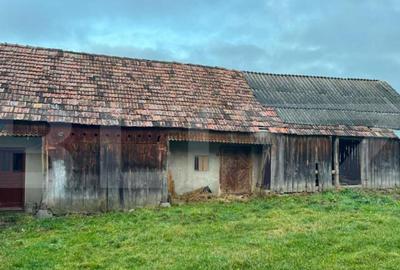 Casa ?i teren in Budu?, la 7 km de Bistri?a - 6