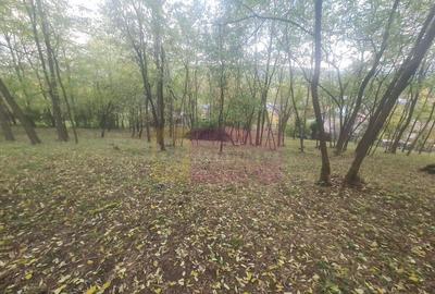 Casa batraneasca cu teren (4.910 mp) la Alunis - 15