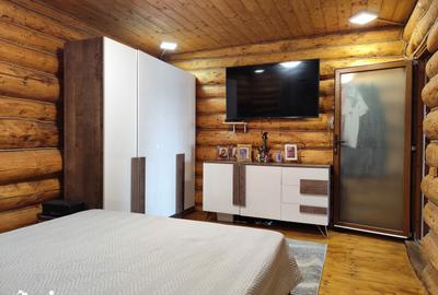 Teren de 63700 mp, în Borș - 5