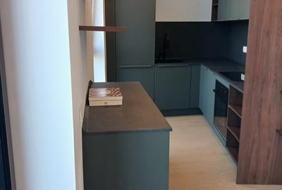 Oferta excelenta: Penthouse Premium cu Vedere către Râul Bega - 3