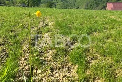 Teren de 1059 mp, în Râu Sadului - 5