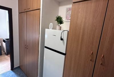 Garsonieră decomandată, mobilată în Drumul Taberei - 9