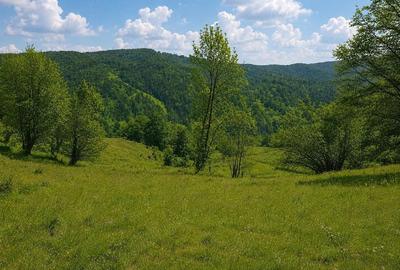 Teren de 2746 mp, în Alexandru cel Bun - 1