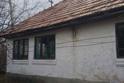 Casă cu 2 camere în Pișteștii din Deal - 3