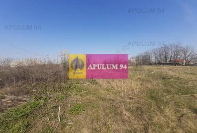 Teren Construcții intravilan de 4800 mp, în Glina - 9