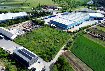 Teren Construcții intravilan de 8000 mp, în Borș - 2